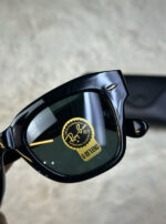 GÜNEŞ GÖZLÜĞÜ - Görsel 4