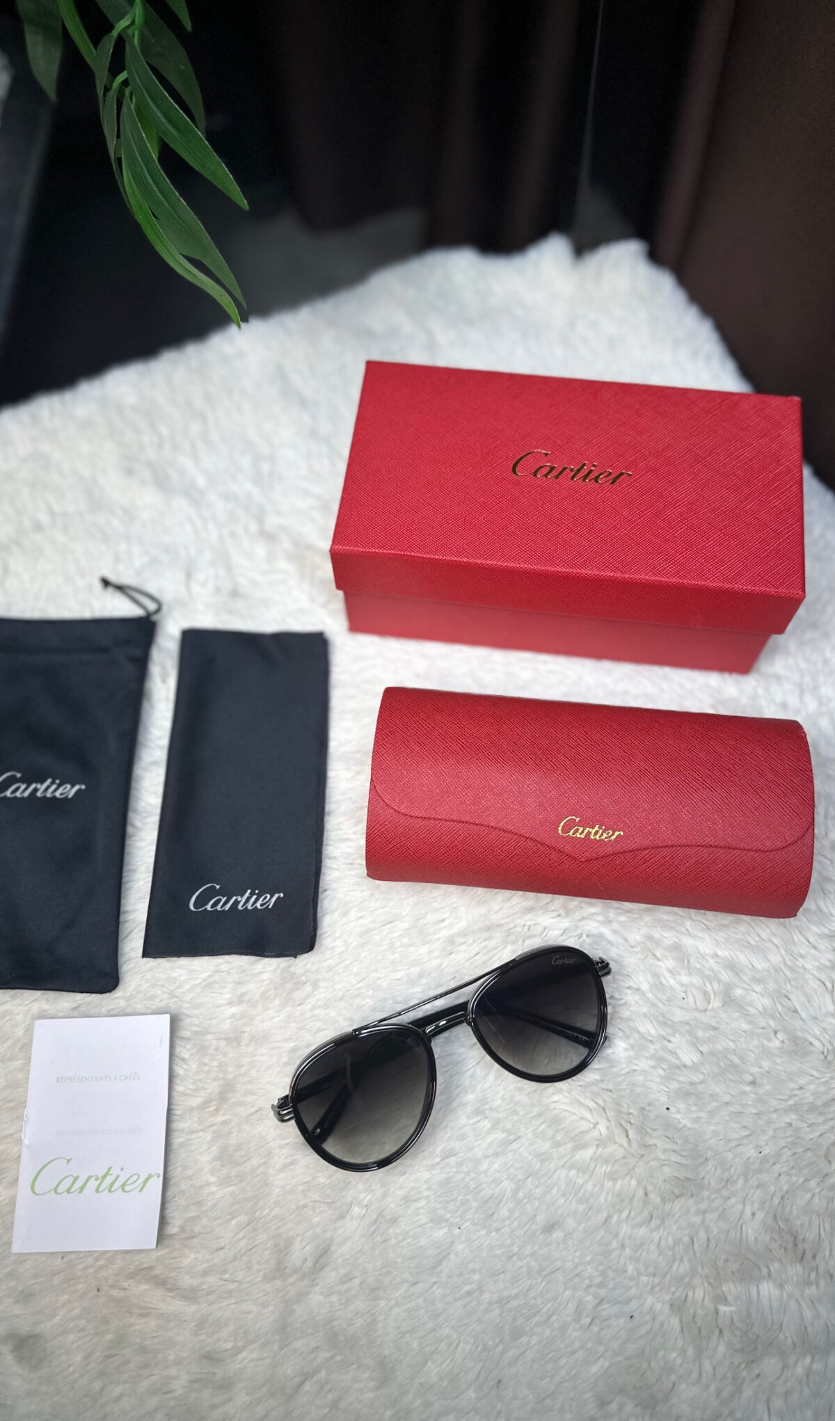 CARTİER GÜNEŞ GÖZLÜĞÜ - Görsel 5