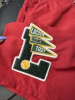 Erkek Deniz Şortu - Görsel 3