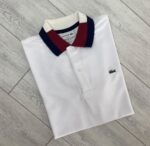 L Renkli Yaka Erkek Polo Yaka - Görsel 3