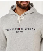 T Erkek Gri Kapüşonlu Sweat - Görsel 3